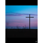 Faith’s store