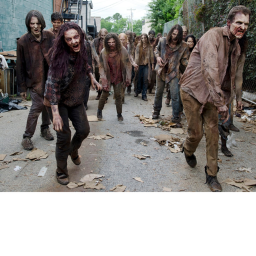 Kill the Zombies (UPDATE)