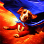 The Underdog Developers