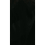 Pro Pokemon Gamers