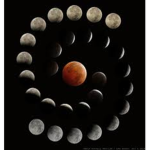 Blood-Moon Ghouls