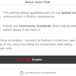 Voice Chat