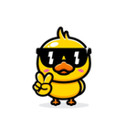 DUCKLINGS WITH SHADES