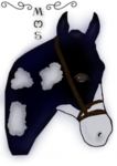 Midnight Stables