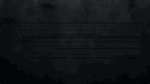M Orginzation