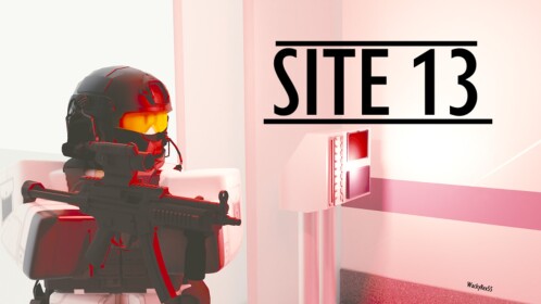 Site 13