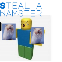 Steal a Hamster (BETA)