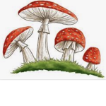 Fungi Empire