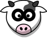 MooMoo Cows