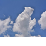Cloud the polar bear squad