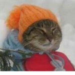 Snow Empire