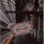 •muggles and mudbloods•