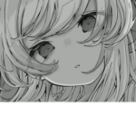 - ever locks -