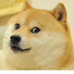 Doge is hungy