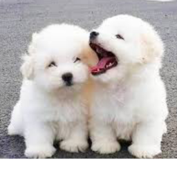 u gonna run right?k good for u!