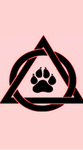 Shork team