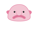 skydodje best