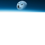 Galaxy wolfie fan group!!