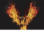 phoenix the best