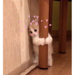 ୨୧ Caramel