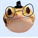 ElLoco