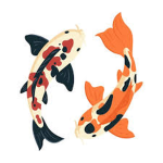 THE KOII FISHIES!!