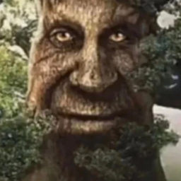 40%
