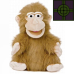 MonkeysUnited!
