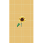 iiAxsthetic