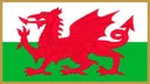 Brigéad Ffiwsiléirí na Wels