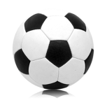 [RSL] Robloxia Soccer Association