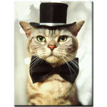 Cats are EPIC!!!