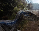 Dino City Admins