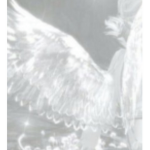 - Ems Angels-