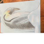 Cold soul penguins!