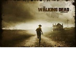 Walking Dead Fans ™
