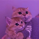 Ńėptüńē