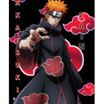 THE AKATSUKI CN