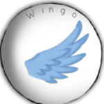 Wingo Squad