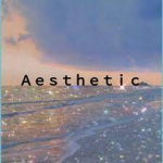 - * Ａｅｓｔｈｅｔｉｃ * -