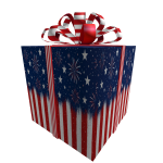 4th of July Celebration Gift Box
