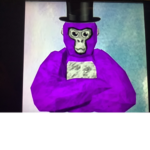 Chillz gang for all
