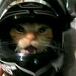 LOVECATSZ