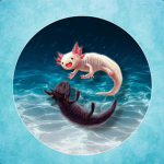 the Axolotl shop