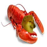 Sea AnimaIs