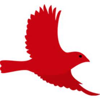 Bird Simulator #####