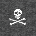 SPECIAL TROOPS DETACHMENT