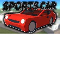 CAR RACERS
