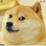 ARMY OF DA DOGGOS