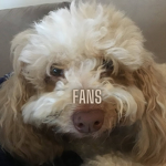 Itz Just Kristian Playz Fans